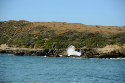 DSC_2611 (Large).JPG